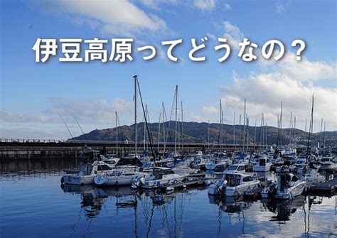 伊豆高原の移住は失敗だった？東京から伊豆高原へ移。